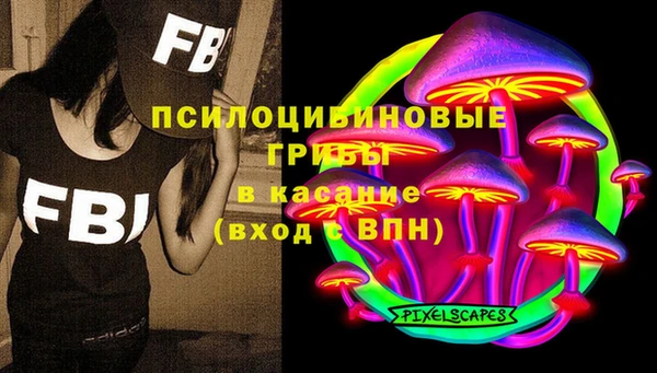 прущий лед Дмитровск